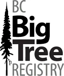 BC BigTree Registry